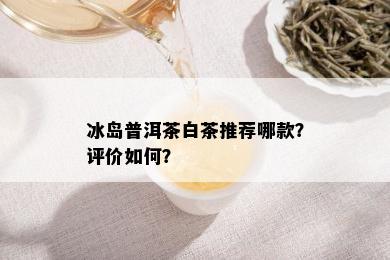 冰岛普洱茶白茶推荐哪款？评价如何？