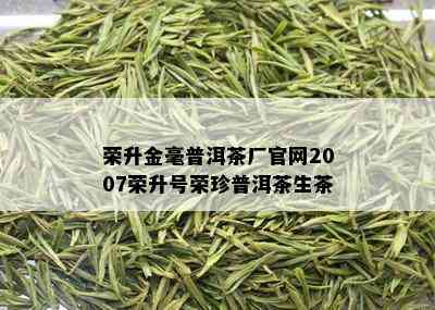 荣升金毫普洱茶厂官网2007荣升号荣珍普洱茶生茶