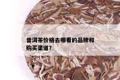 普洱茶价格去哪看的品牌和购买渠道？