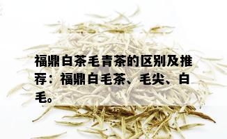 福鼎白茶毛青茶的区别及推荐：福鼎白毛茶、毛尖、白毛。