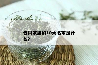 普洱茶里的10大名茶是什么？