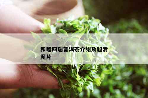 和睦四瑞普洱茶介绍及超清图片