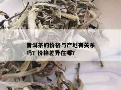 普洱茶的价格与产地有关系吗？价格差异在哪？