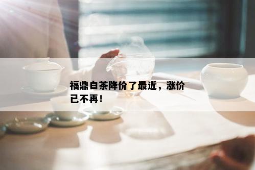 福鼎白茶降价了最近，涨价已不再！