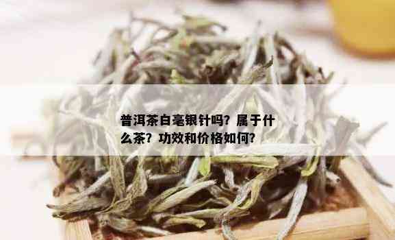 普洱茶白毫银针吗？属于什么茶？功效和价格如何？