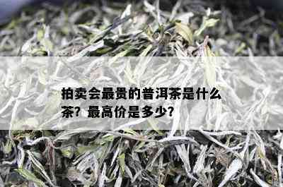 拍卖会最贵的普洱茶是什么茶？更高价是多少？