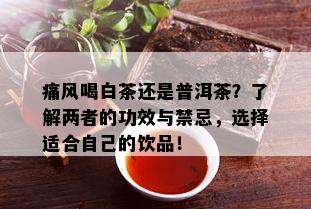 痛风喝白茶还是普洱茶？了解两者的功效与禁忌，选择适合自己的饮品！