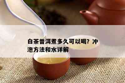 白茶普洱煮多久可以喝？冲泡方法和水详解