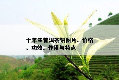 十年生普洱茶饼图片、价格、功效、作用与特点