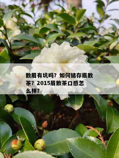 散眉有坑吗？如何储存眉散茶？2015眉散茶口感怎么样？