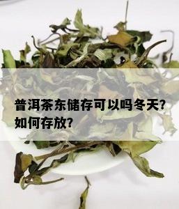 普洱茶东储存可以吗冬天？如何存放？