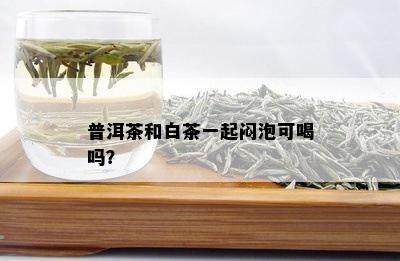 普洱茶和白茶一起闷泡可喝吗？