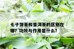 七子饼茶和普洱茶的区别在哪？功效与作用是什么？