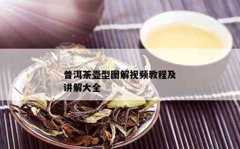 普洱茶壶型图解视频教程及讲解大全