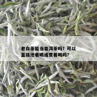 老白茶能当普洱茶吗？可以直接泡着喝或煮着喝吗？