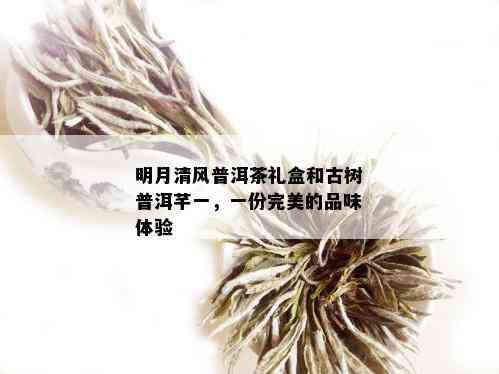 明月清风普洱茶礼盒和古树普洱芊一，一份完美的品味体验