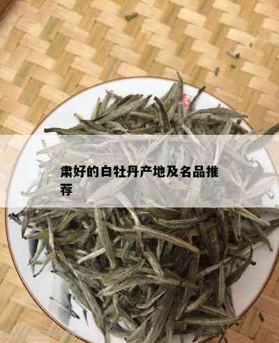 肃好的白牡丹产地及名品推荐