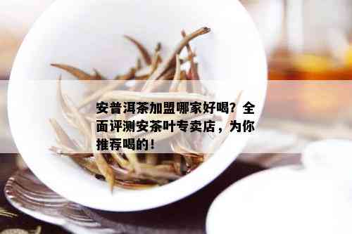 安普洱茶加盟哪家好喝？全面评测安茶叶专卖店，为你推荐喝的！