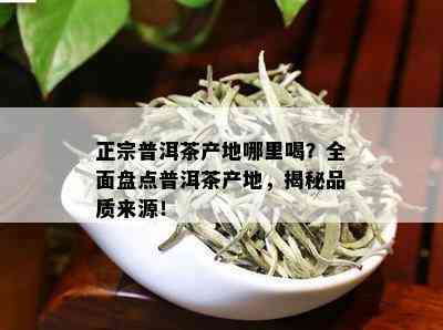 正宗普洱茶产地哪里喝？全面盘点普洱茶产地，揭秘品质来源！