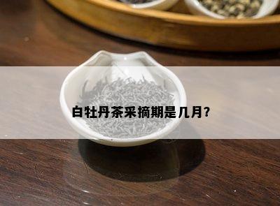 白牡丹茶采摘期是几月？