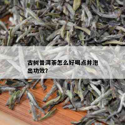 古树普洱茶怎么好喝点并泡出功效？