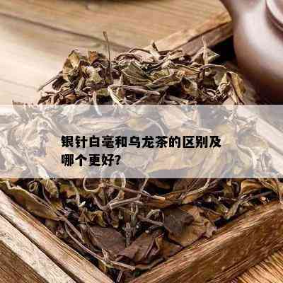 银针白毫和乌龙茶的区别及哪个更好？