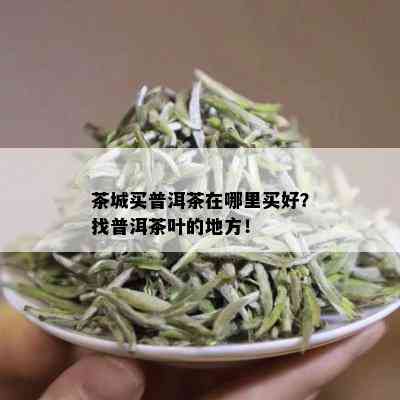 茶城买普洱茶在哪里买好？找普洱茶叶的地方！