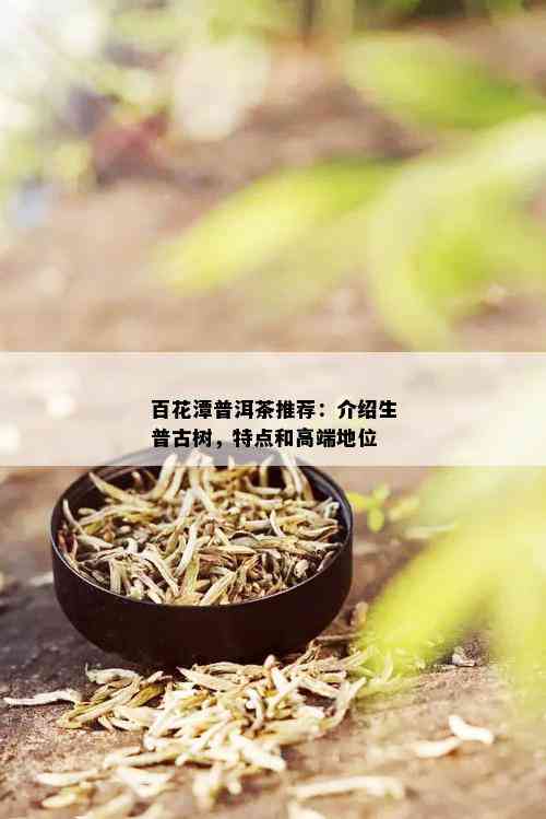 百花潭普洱茶推荐：介绍生普古树，特点和高端地位