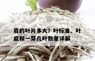 眉的叶片多大？叶标准、叶底和一芽几叶数量详解