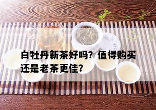 白牡丹新茶好吗？值得购买还是老茶更佳？