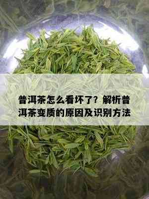 普洱茶怎么看坏了？解析普洱茶变质的原因及识别方法