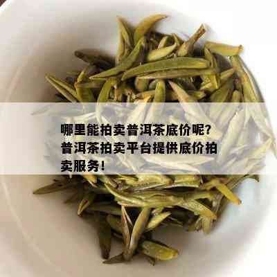 哪里能拍卖普洱茶底价呢？普洱茶拍卖平台提供底价拍卖服务！