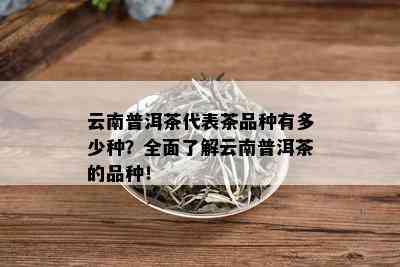 云南普洱茶代表茶品种有多少种？全面了解云南普洱茶的品种！