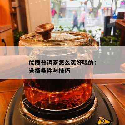 优质普洱茶怎么买好喝的：选择条件与技巧