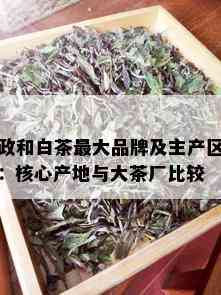 政和白茶更大品牌及主产区：核心产地与大茶厂比较