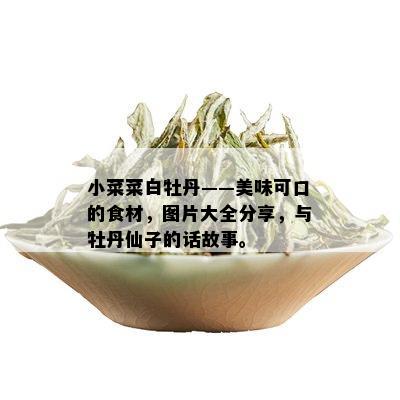 小菜菜白牡丹——美味可口的食材，图片大全分享，与牡丹仙子的话故事。