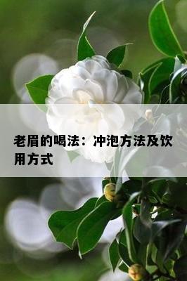 老眉的喝法：冲泡方法及饮用方式