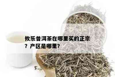 攸乐普洱茶在哪里买的正宗？产区是哪里？