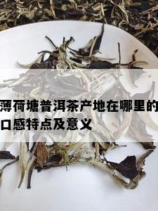 薄荷塘普洱茶产地在哪里的口感特点及意义