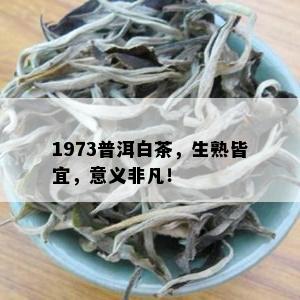 1973普洱白茶，生熟皆宜，意义非凡！