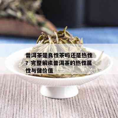 普洱茶是良性茶吗还是热性？完整解读普洱茶的热性属性与健价值