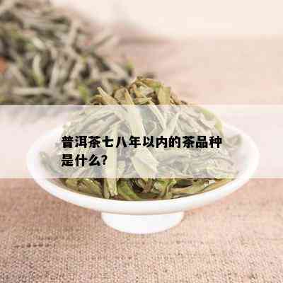 普洱茶七八年以内的茶品种是什么？