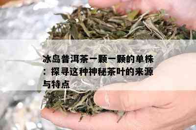 冰岛普洱茶一颗一颗的单株：探寻这种神秘茶叶的来源与特点