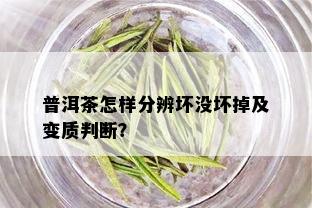 普洱茶怎样分辨坏没坏掉及变质判断？