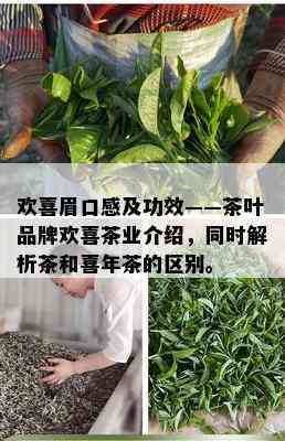 欢喜眉口感及功效——茶叶品牌欢喜茶业介绍，同时解析茶和喜年茶的区别。