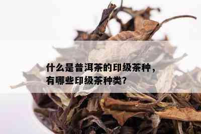 什么是普洱茶的印级茶种，有哪些印级茶种类？