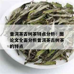 普洱茶古树茶特点分析：图论文全面分析普洱茶古树茶的特点