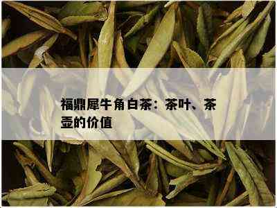 福鼎犀牛角白茶：茶叶、茶壶的价值