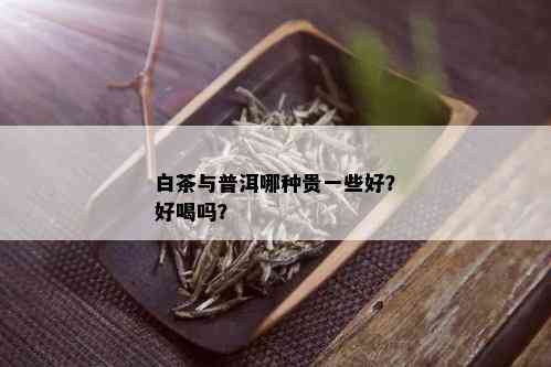 白茶与普洱哪种贵一些好？好喝吗？