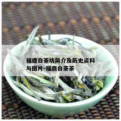 福鼎白茶坊简介及历史资料与图片-福鼎白茶茶